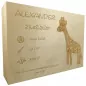 Preview: Personalisierte Erinnerungskiste aus Holz mit Gravur Giraffe Titelbild