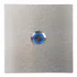 Preview: Tuerklingel aus Edelstahl 100 x 100 cm LED Blau